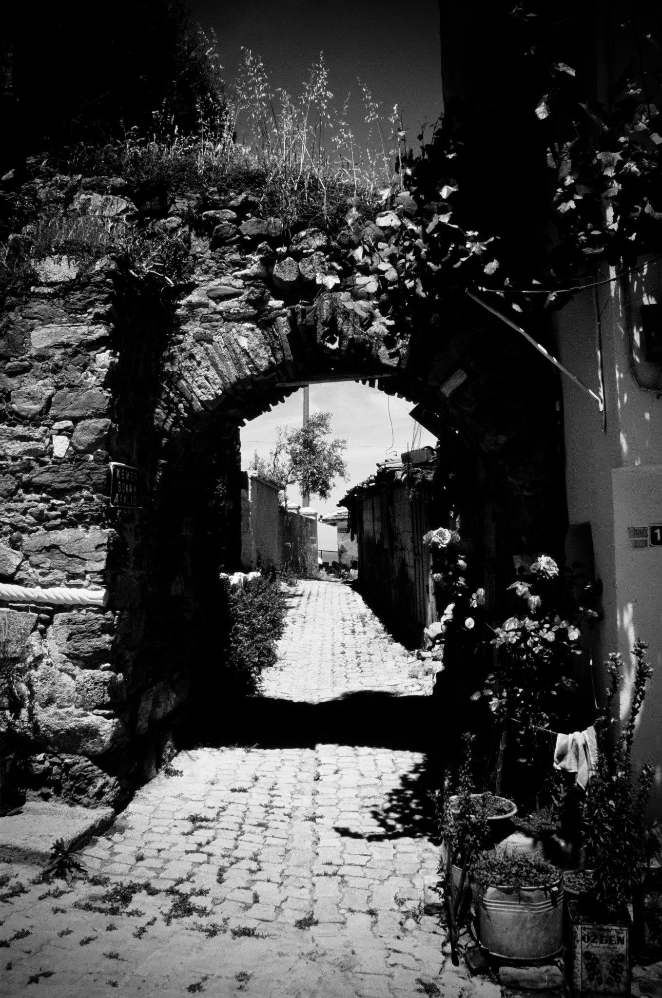 461455 10150807181678564 541261118 o