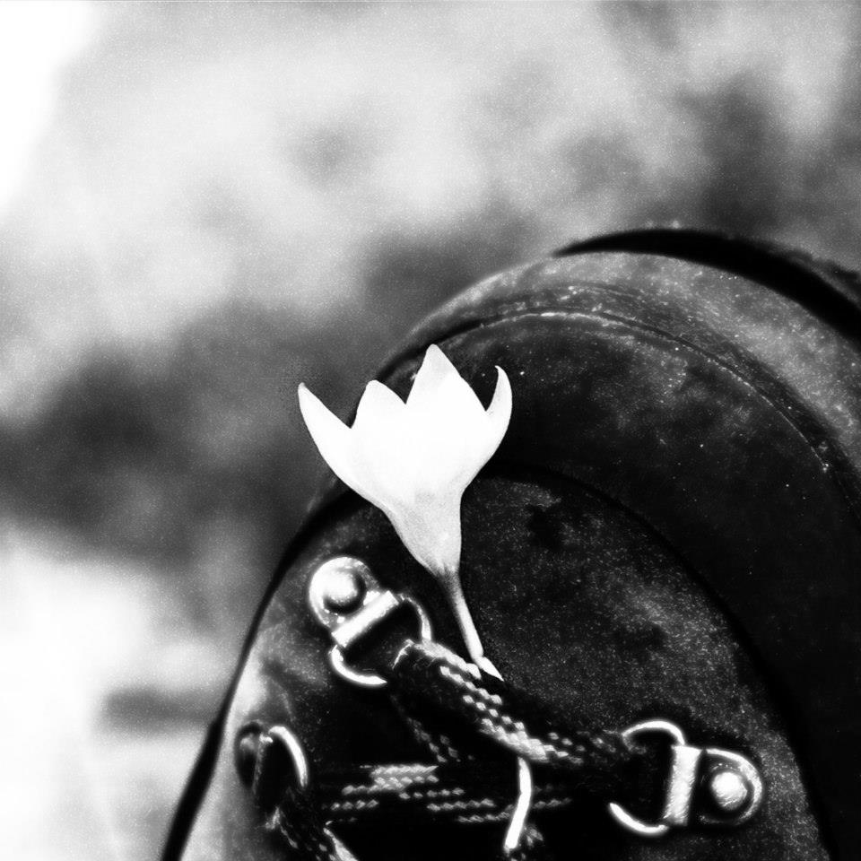 10378202 10152314023428564 6413294310447341249 n