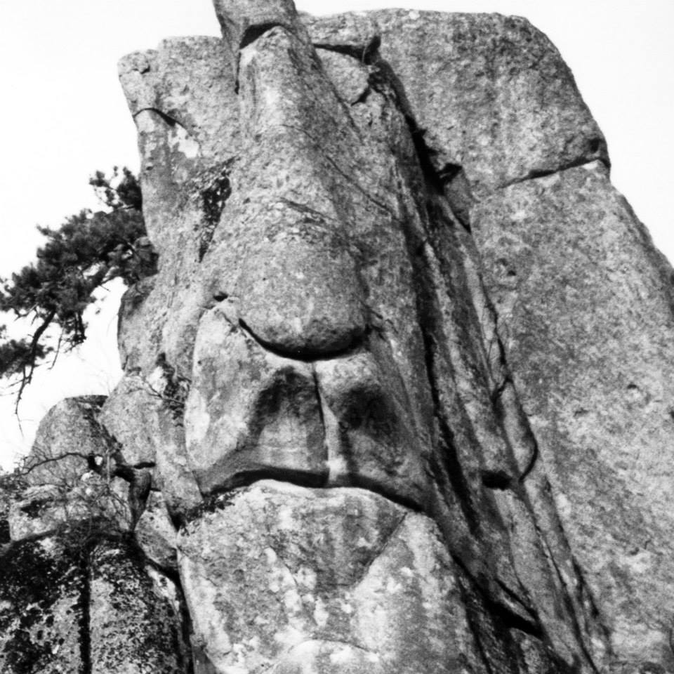 10505271 10152314023393564 6405029416138339476 n