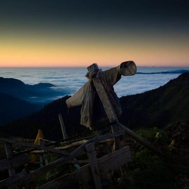 Facebook photo download 2361195048785107906