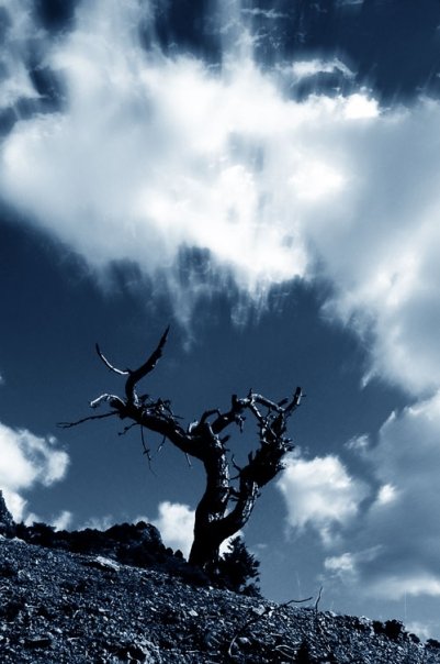 Facebook photo download 2361195048782080613