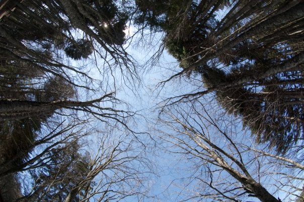 Facebook photo download 2361195048782773102