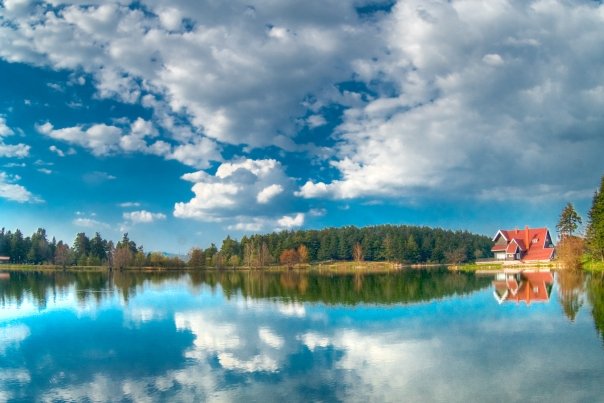 Facebook photo download 2361195048782773108