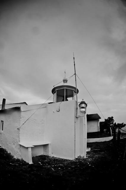 Facebook photo download 2361195048784786307