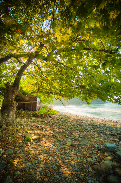 Facebook photo download 2361195048786202479