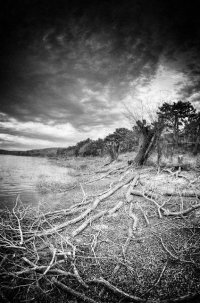 Facebook photo download 2361195048784400552