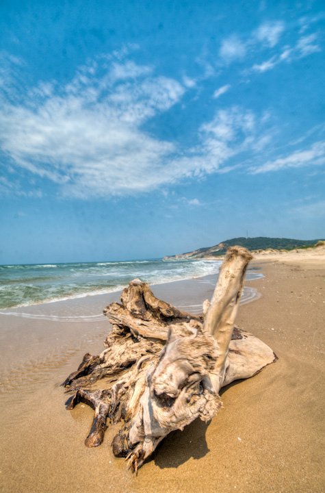 Facebook photo download 2361195048786581781