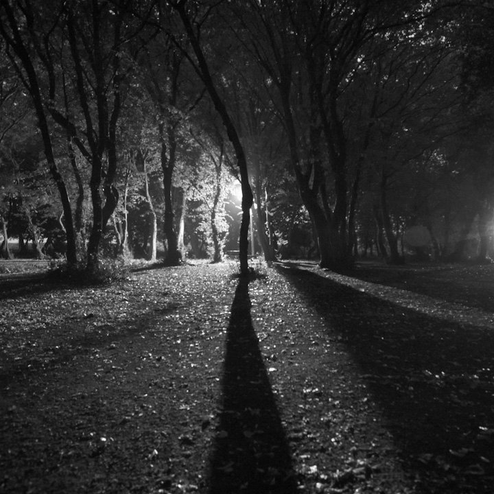 Facebook photo download 2361195048786581791